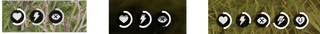 From left: three mostly full cores; slightly drained health and dead-eye cores; the five rings that appear when you’re on a horse.